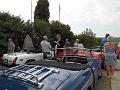 Chat. Bleu 2017_(226)